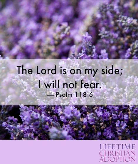 Lavender fields with Psalm 118:6