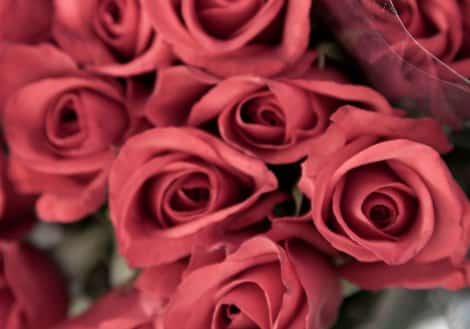 Life lessons from Mardie Caldwell's garden