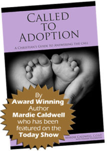 Christian adoption book