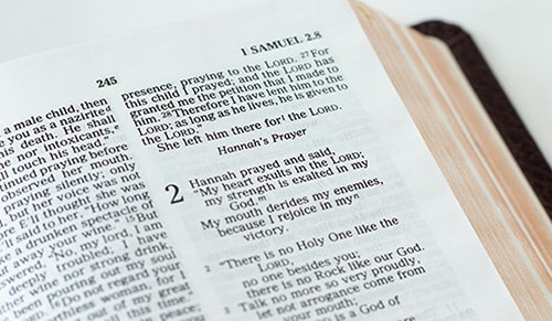 Hannah’s Prayer – Holding Tight When We Can No Longer Fight